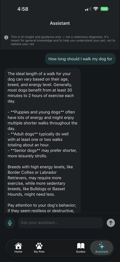 AI Assistant conversation