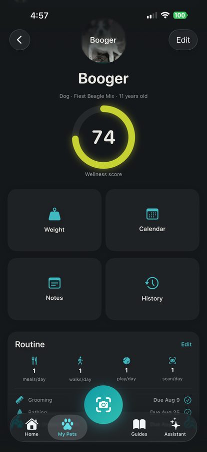 Guides — This week and Care basics