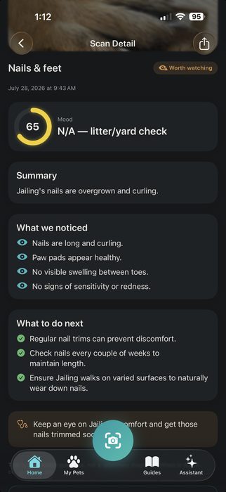 Nails and feet scan, worth watching
